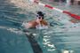 SchwimmfestAue2017_(2).jpg