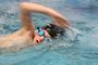 SchwimmfestAue2017_(34).jpg