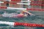 SchwimmfestAue2017_(13).jpg