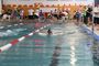 SchwimmfestAue2017_(29).jpg