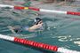 SchwimmfestAue2017_(8).jpg