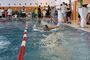 SchwimmfestAue2017_(25).jpg