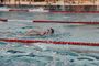 SchwimmfestAue2017_(30).jpg
