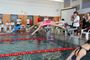 SchwimmfestAue2017_(12).jpg