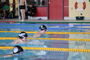 Vogtlandschwimmcup2026 (17).JPG