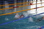 Vogtlandschwimmcup2026 (8).JPG