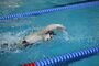 Vogtlandschwimmcup2026 (25).JPG